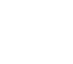 RED RAPTOR Logo